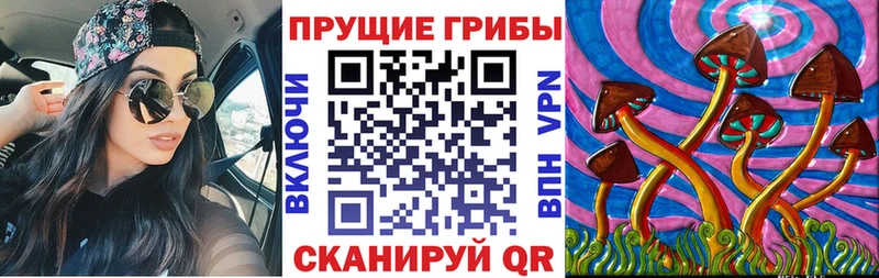Псилоцибиновые грибы ЛСД Звенигово